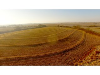 Property photo 16 - LAND AUCTION - 664+/- ACRES OFFERED IN 17 TRACTS IN CASS CO., NEBRASKA